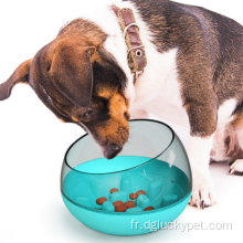 Petit bol pour chien à alimentation lente